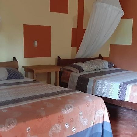 Hotel Centro Ecoturistico Ya'Ajche Lacanjá Zewnętrze zdjęcie